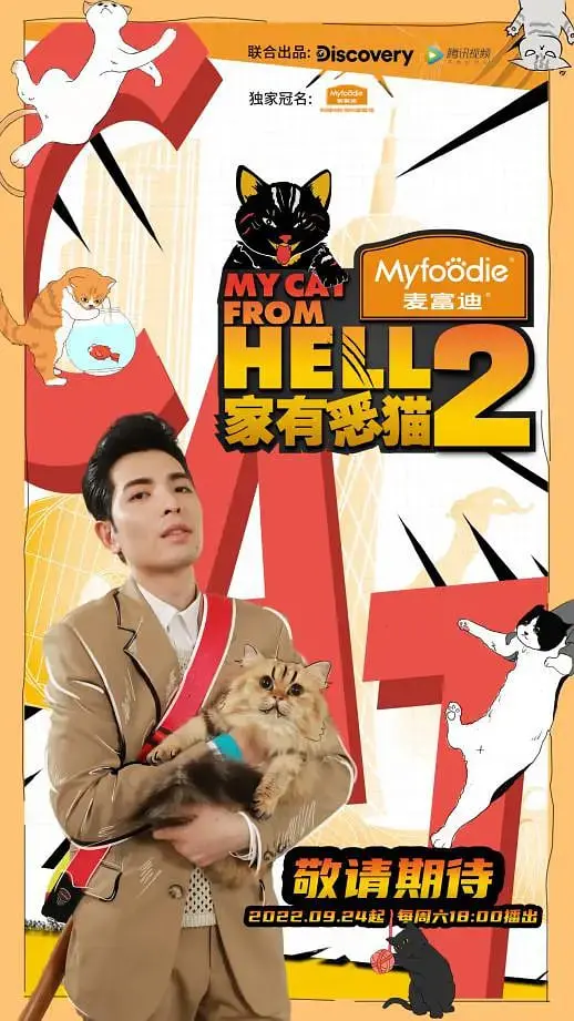 《家有恶猫2》：当“恶”遇到“善”，一场关于生命尊严的励志冒险
